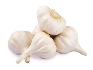 beyondfresh-garlic-india-300x227