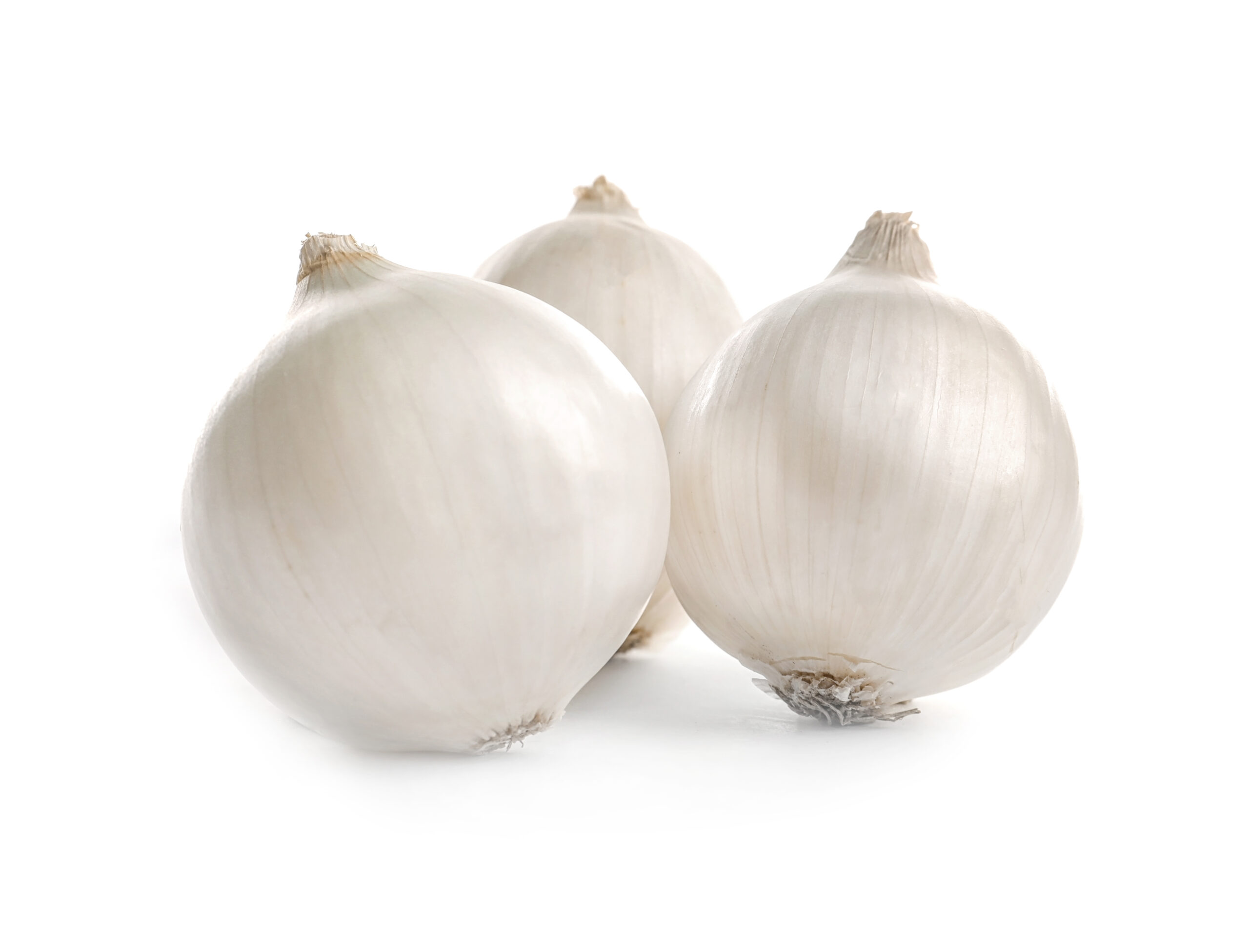 Fresh raw onion on white background