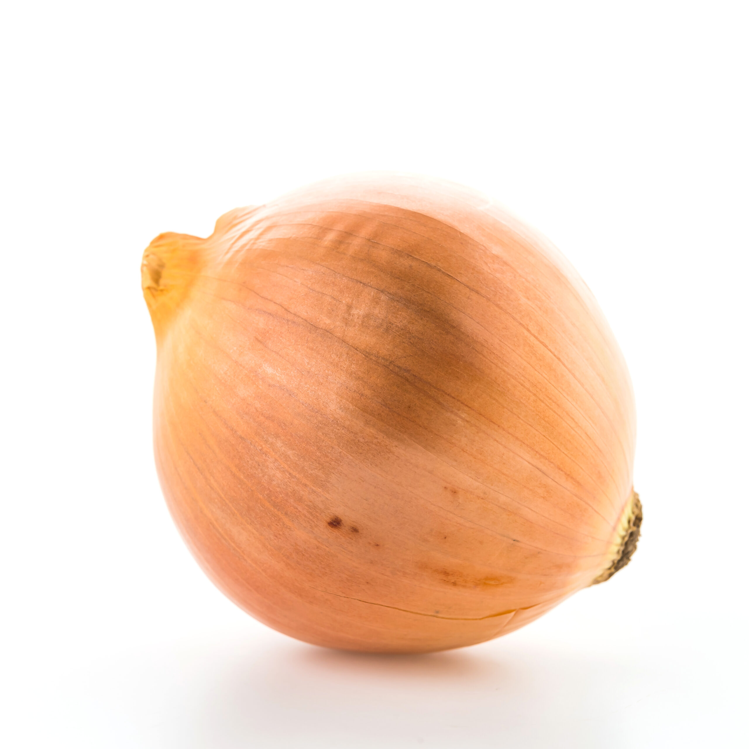 Onion isolated on white background