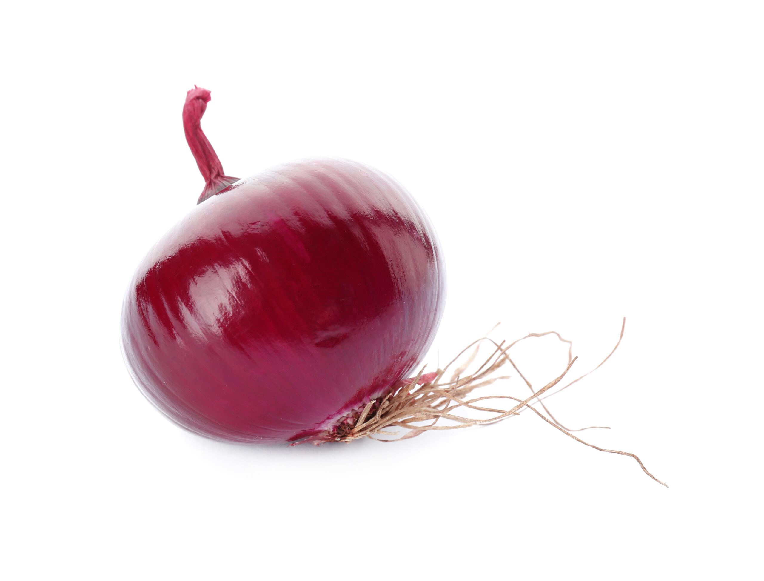 Red onion on white background